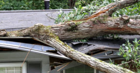 Wind damage restoration