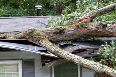 Wind damage restoration